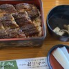 松ぼっくり - 