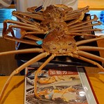 278785594 - 