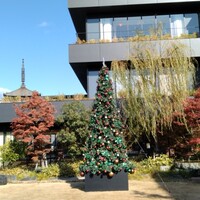 BENOIT Kyoto Alain Ducasse - 
