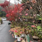 アールケイ ガーデン - 