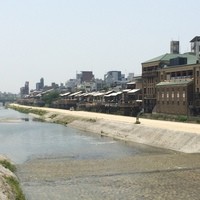 先斗町 魯ビン - 
