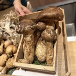 橦木町 しみず - 岐阜県産松茸