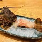 えぷろん亭 - 伊勢海老の活き造り。後造りはお味噌汁に。