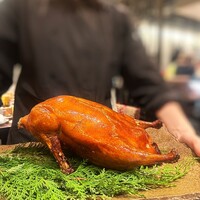 新中国料理HARAKAWA 北新地店 - 