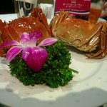 老香港酒家京都 - 上海蟹（陽澄湖）姿蒸し