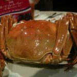 老香港酒家京都 - 上海蟹（陽澄湖）姿蒸し　オス