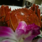 老香港酒家京都 - 上海蟹（陽澄湖）姿蒸し　メス