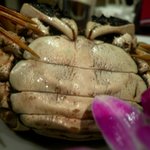 老香港酒家京都 - 上海蟹（陽澄湖）姿蒸し　メス