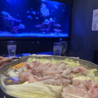 キュイジーヌ 福の舞 北新地店 -  キュイジーヌ 福の舞 北新地店 -