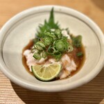 アポロプラス - 
