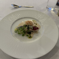 THE KOBECRUISE コンチェルト - 