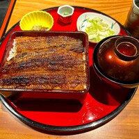 炭焼 うな富士 有楽町店 - 上うな重