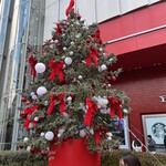 雅しゅとうとう - 