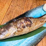 吉田町食堂 きんぎょ - 