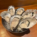 Oyster Lab - 