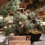 おばんざい・炙り焼き・酒 菜な - 