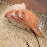 金澤 鮨 洋次郎 - 鰤トロ
