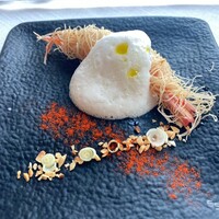 サーラ アマービレ - 