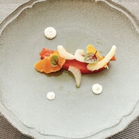 イリエスケープ - 