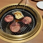 로그테이 혼텐 - 