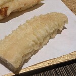 羽衣のあしあと - 