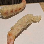 羽衣のあしあと - 