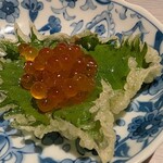 羽衣のあしあと - 