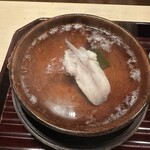 多仁本 - 身も入って