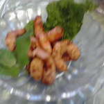 サプナ - エビのチャット