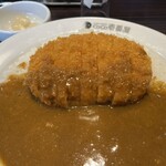 ＣｏＣｏ壱番屋 - 料理写真: