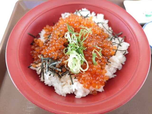 すき家 弘前中野店 - 弘前学院大前（牛丼）の写真