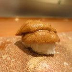 鮨 おさむ - 唐津の赤雲丹。