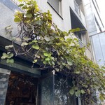 アマムダコタン - 