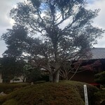 三田屋本店 やすらぎの郷 - 外観