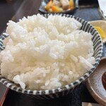 旬菜の味わい がら里 - ご飯大盛り