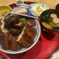 鰻う おか冨士 - 肝入り 上 うなぎ丼（限定）