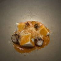 セルサルサーレ - 