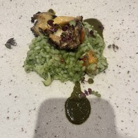 オッジ ダルマット 西麻布店 - 