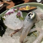 博多もつ鍋 前田屋 総本店 - 