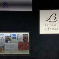 Loiseau de France - 