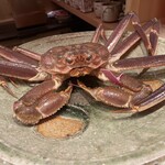 麻布 かどわき - 