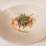 マダム・トキ - 