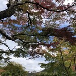 茶房 天井棧敷 - 