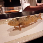 天ぷら　酒菜　醍醐 - 琵琶湖のアユ。