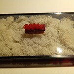 ブレストンコート ユカワタン - 