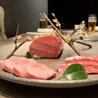 USHIGORO S. SHINJUKU - 