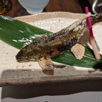 柳家錦 - 