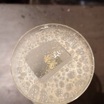 Cocktail Stand FUREK - 