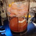 Cocktail Stand FUREK - 