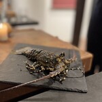 LAINE INAMURAGASAKI - 鎌倉で漁れる錦海老